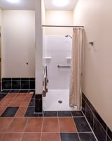 10682406