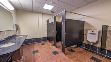 10682391