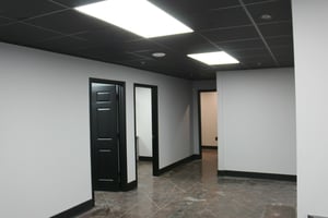 10654302