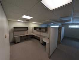 10677407