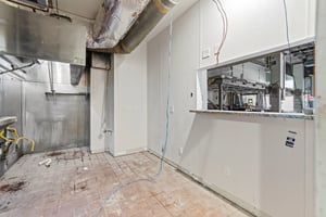 10699668