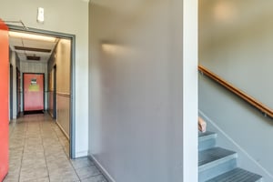 10787446
