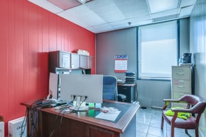 10787454