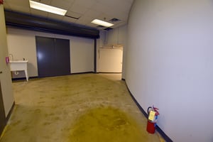 10803803
