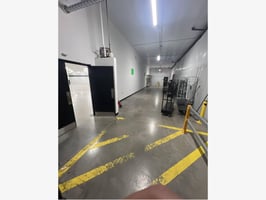 11839008