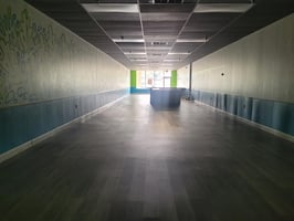 10826443
