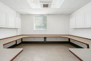 10846732