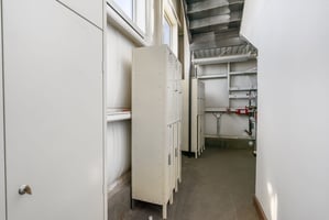 10846731