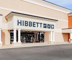 10865299