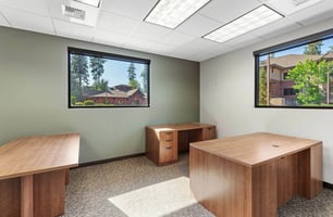 13033797